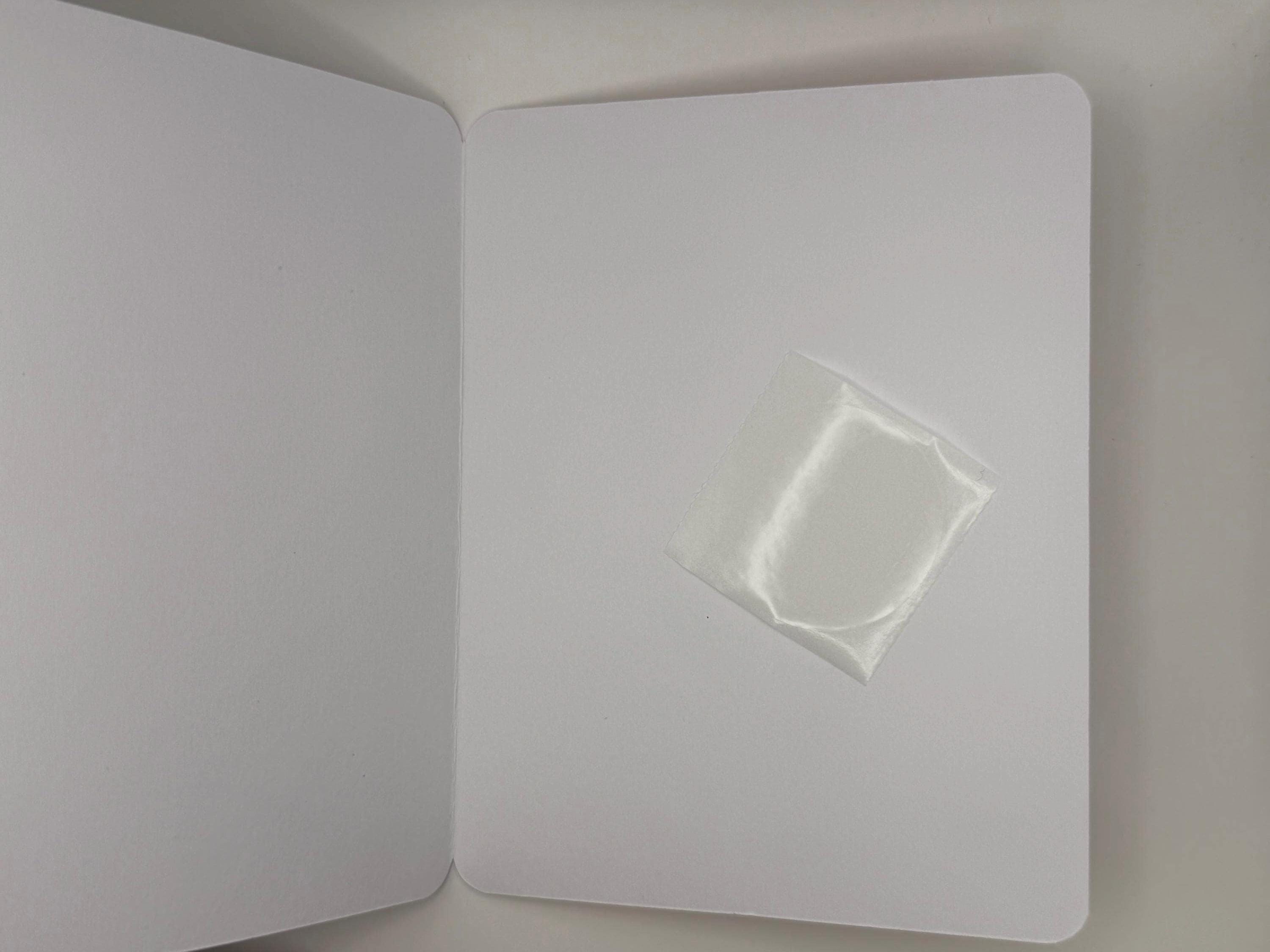 Funny Shark Card | Handmade Greeting Card