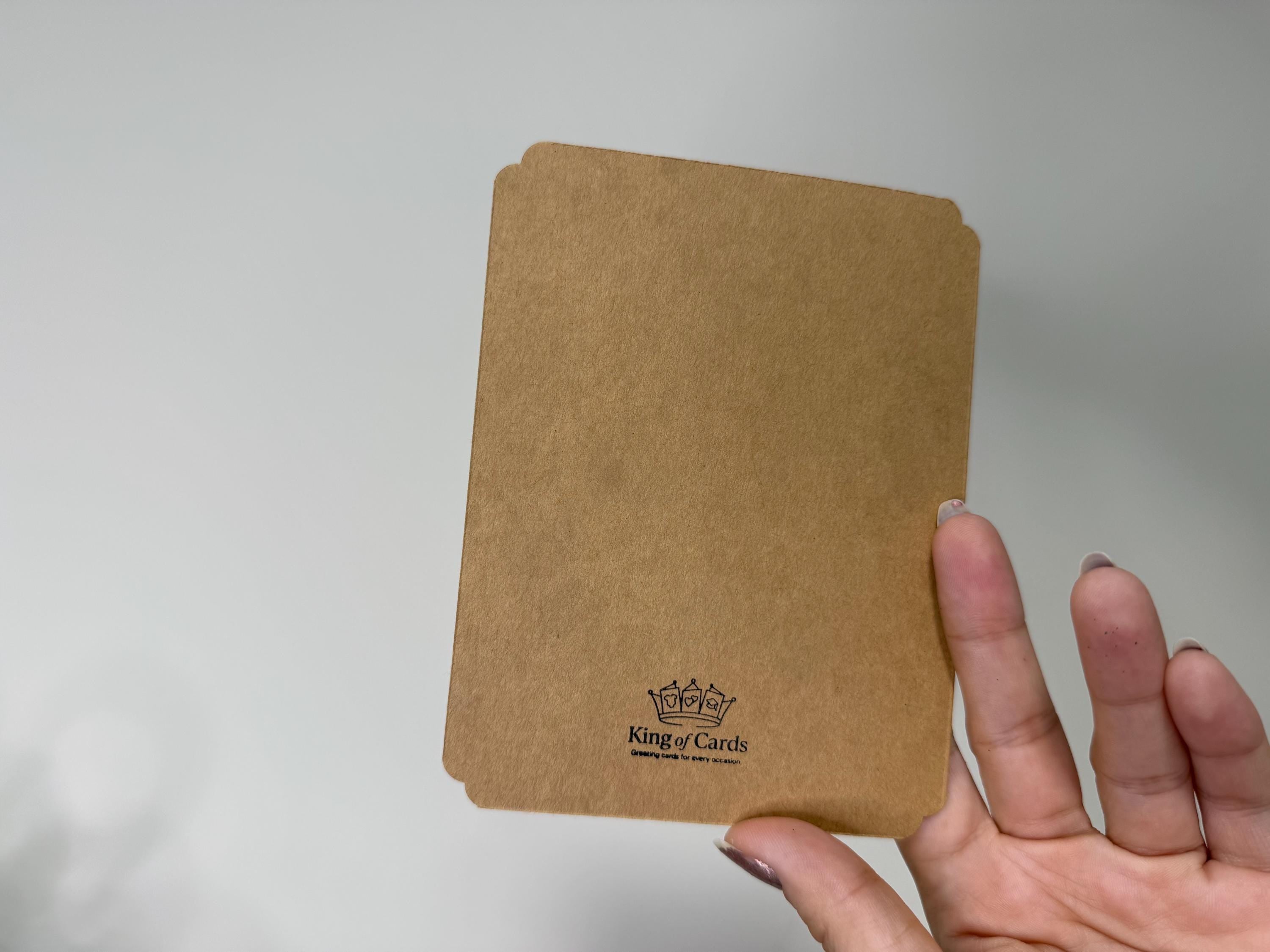 Seasons Greetings Snow Globe Card | Handmade Shaker Greeting Card