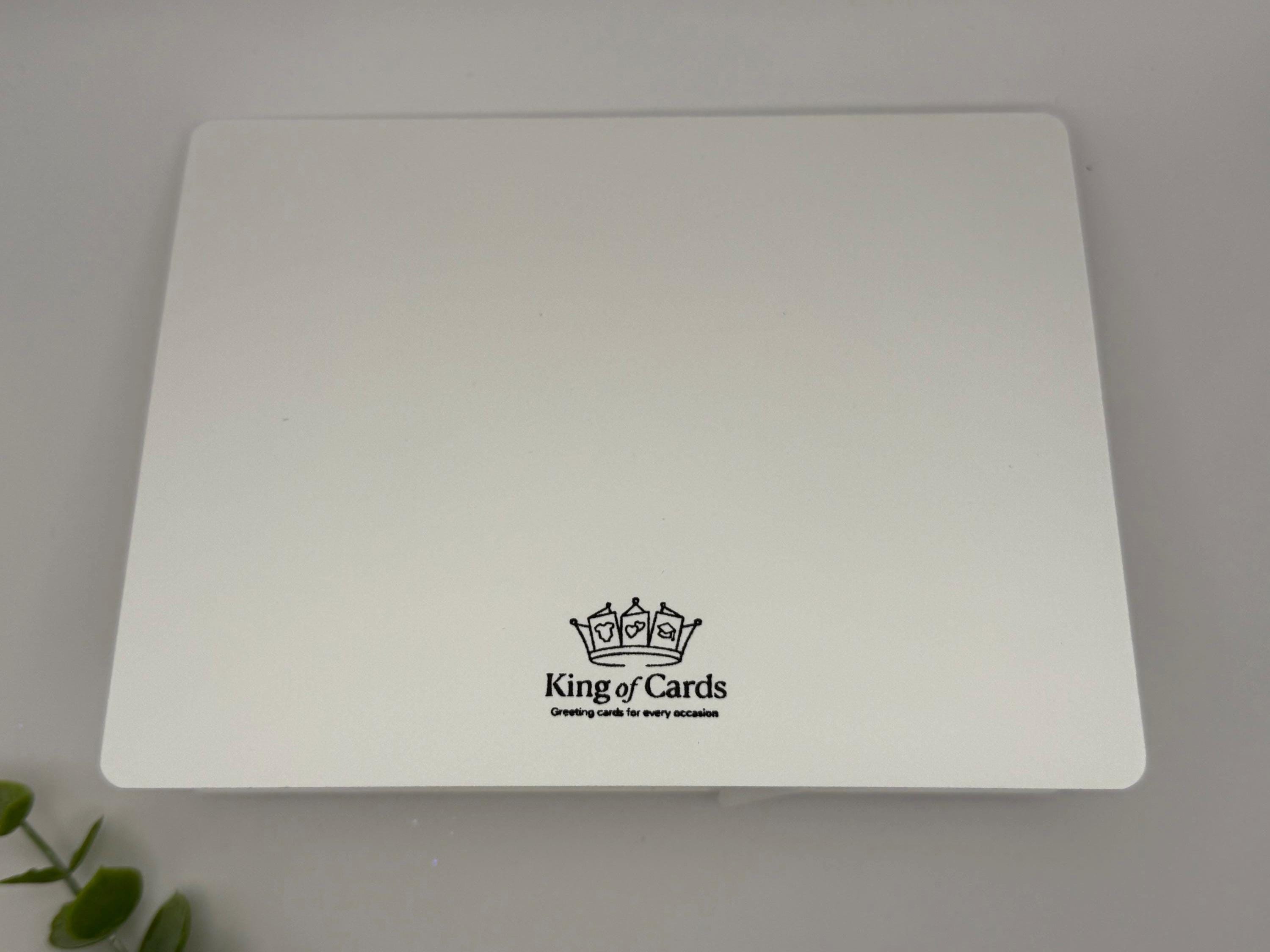 Hanukkah Shaker Card | Winter Holiday Cards