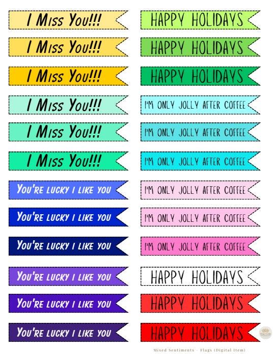 Printable Mixed Sentiment Flags | Digital Item