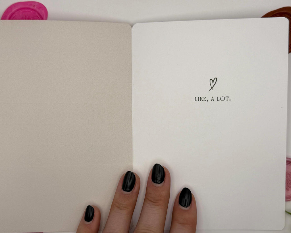 Funny Valentine Card | Snarky I Love You Card